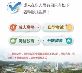 深耕教育十余載 當(dāng)前教育咨詢熱點(diǎn)解析與實(shí)用建議